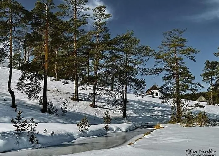 Шале Vodice 2, Zlatibor *